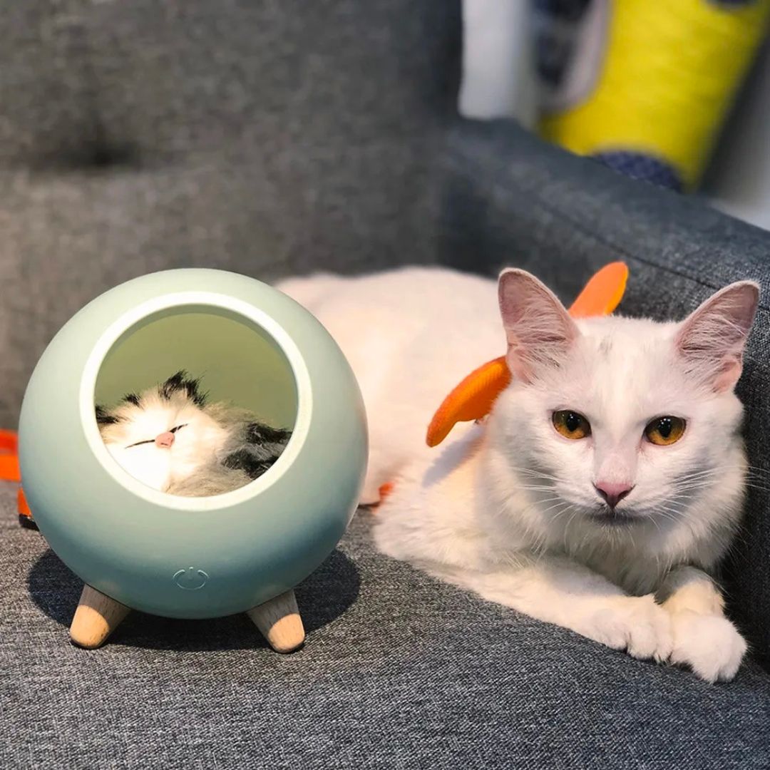 Lampe de Chevet Chaton Bluetooth rechargeable